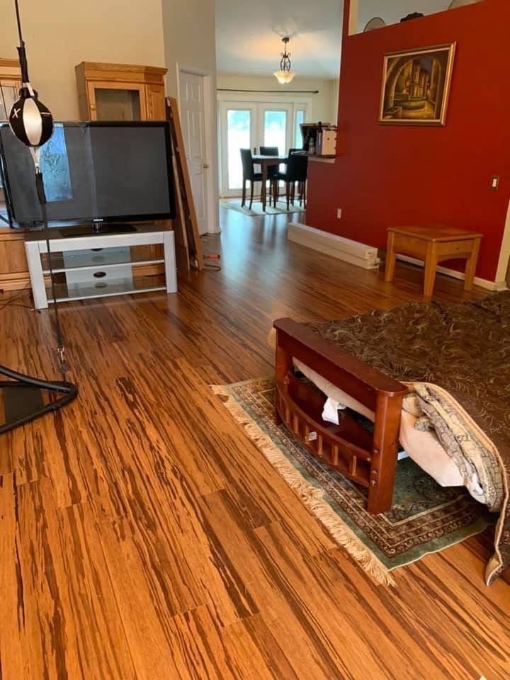 Living room with hardwood flooring and red accent wall after interior painting